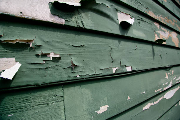 Best Storm Damage Siding Repair  in Graton, CA